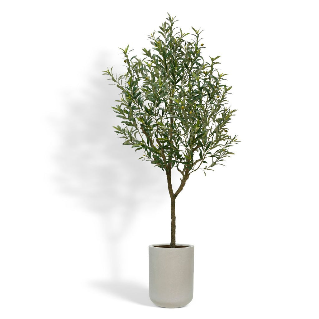 7ft Artificial Olive Tree with Planter
