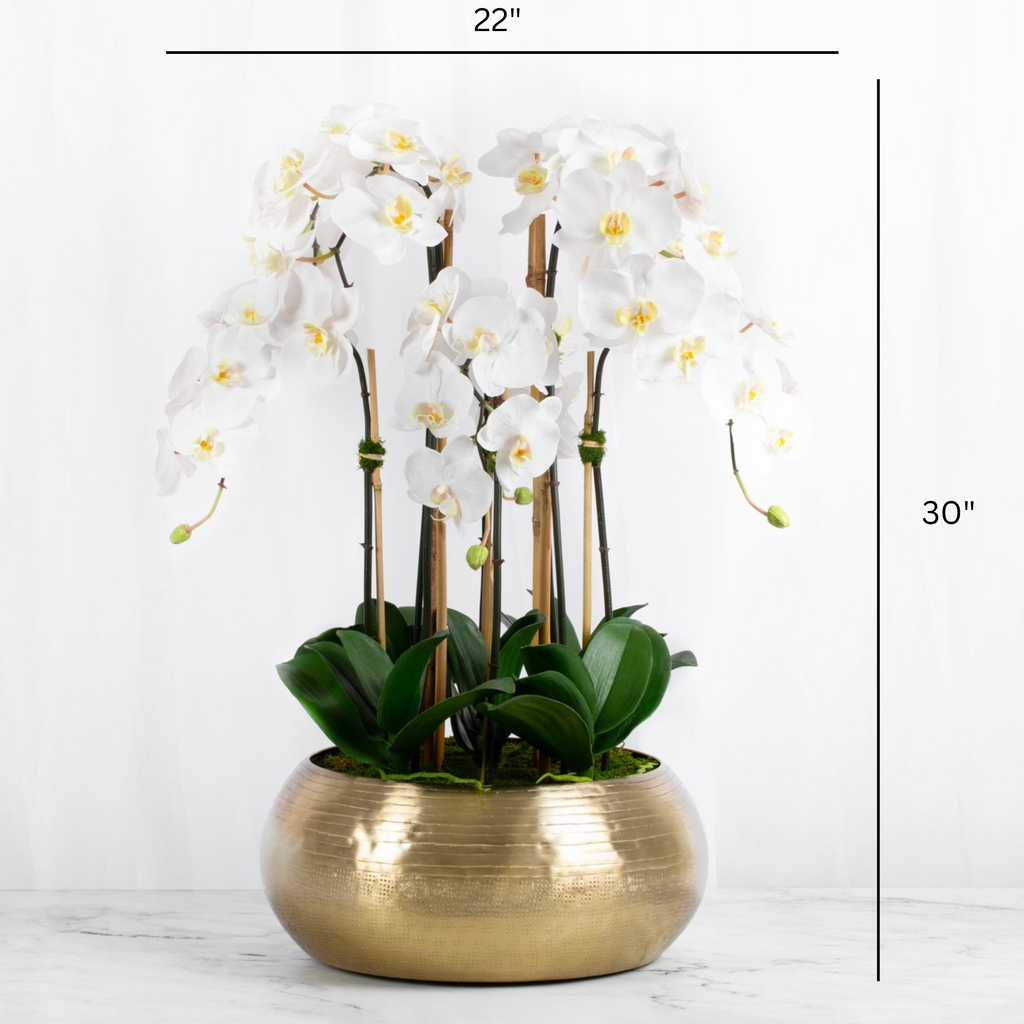 Large Orchid Centerpiece Arrangement in Gold Vase